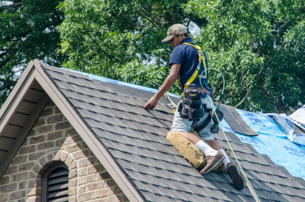 Best New Roof Installation  in Mcminnville, OR